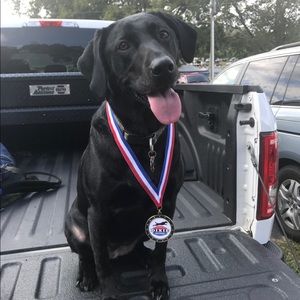 Meet your Posher, Robbie